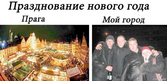 Забавные картинки