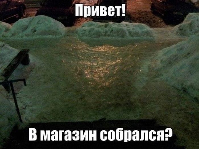 Забавные картинки