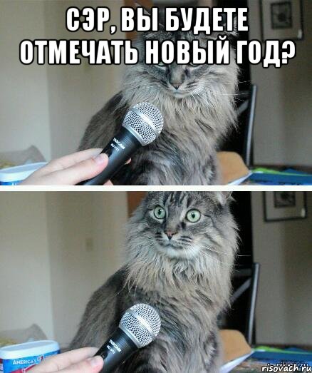 Опрос про планы на Новый Год