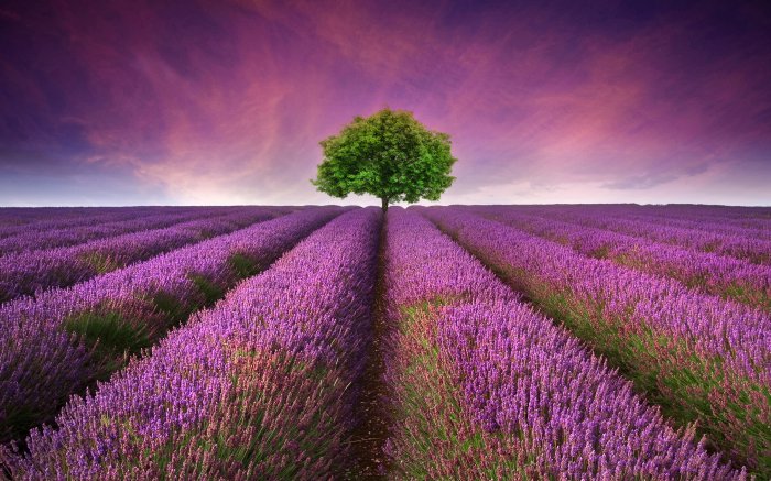 Обои на рабочий стол / SuperWallpapers Pack 159