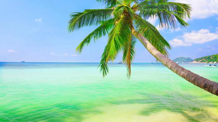 Обои на рабочий стол / SuperWallpapers Pack 159