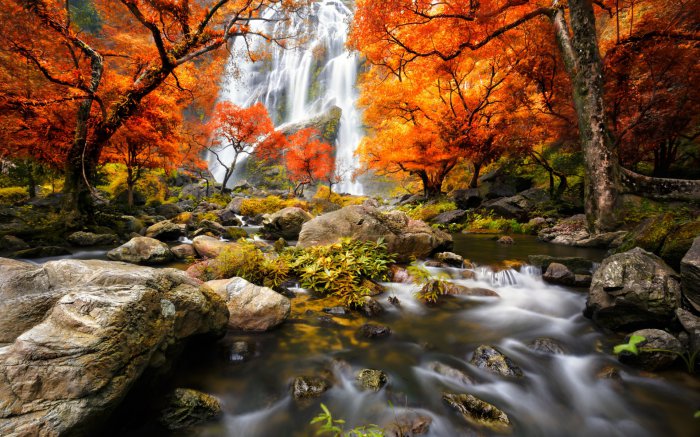 Обои на рабочий стол / SuperWallpapers Pack 159