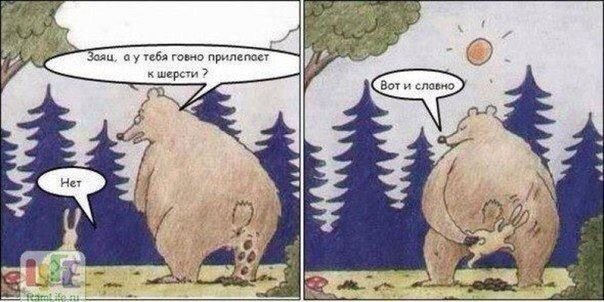 Веселые картинки и не очень