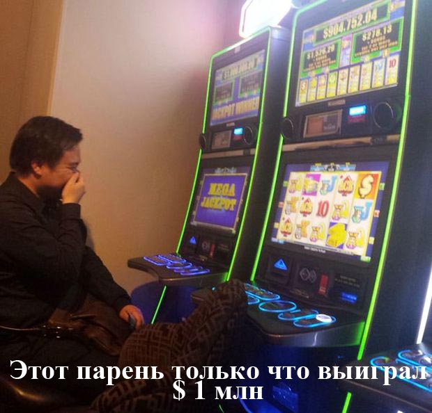 Порция картинок