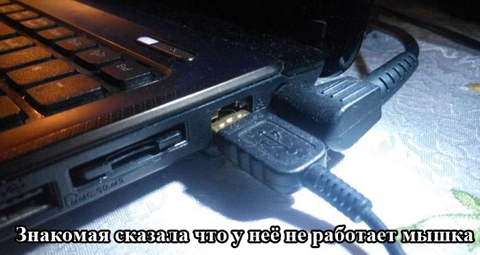 Порция картинок