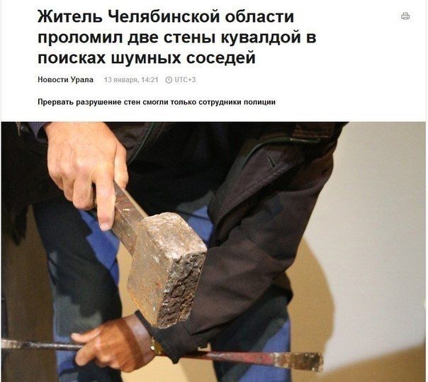 Порция картинок