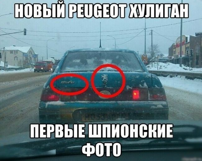 Забавные картинки