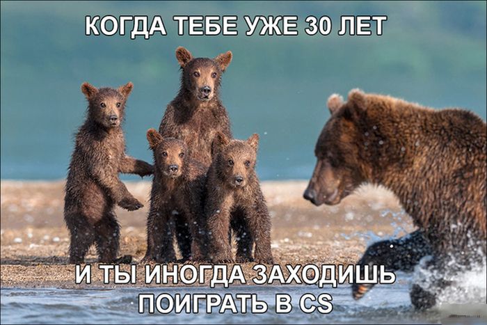 Забавные картинки