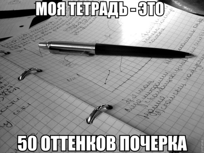 Забавные картинки