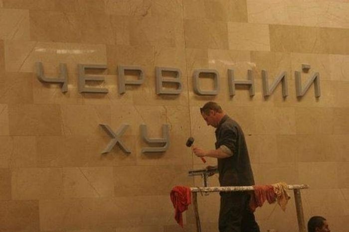 Забавные картинки