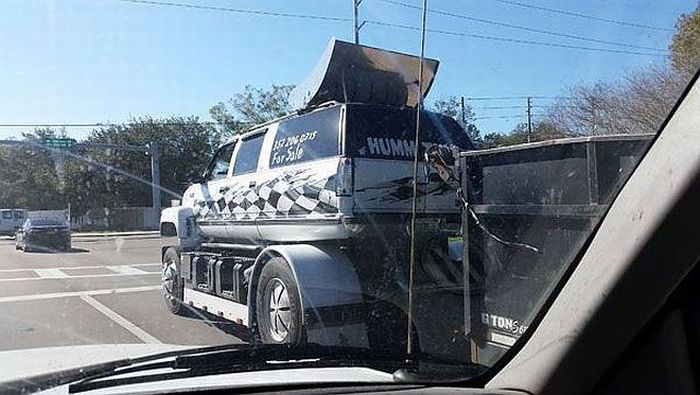 Забавные картинки