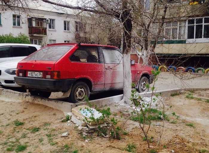 Забавные картинки
