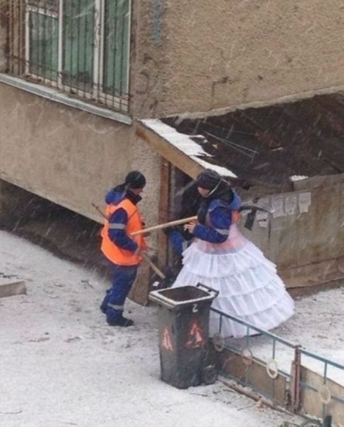 Забавные картинки