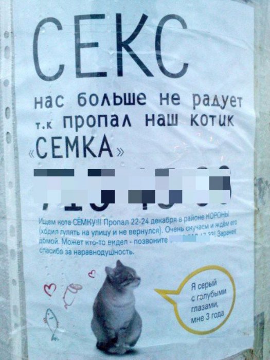 Порция картинок