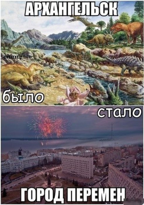 Забавные картинки