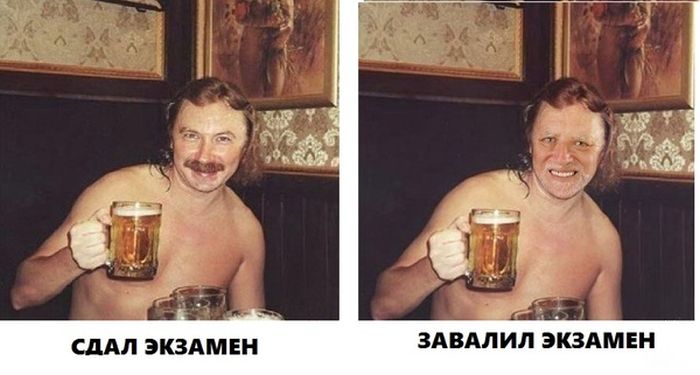 Забавные картинки