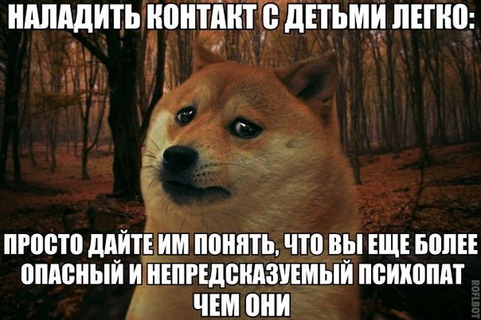 Забавные картинки