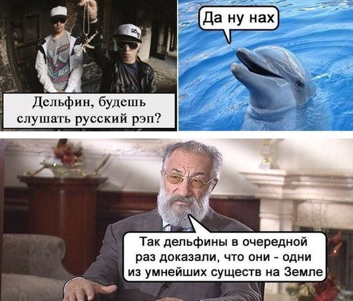 Забавные картинки