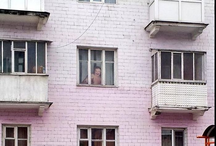 Забавные картинки