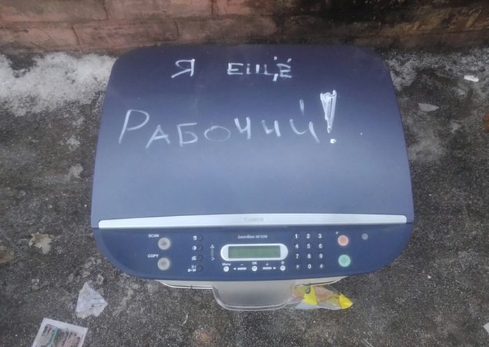 Забавные картинки
