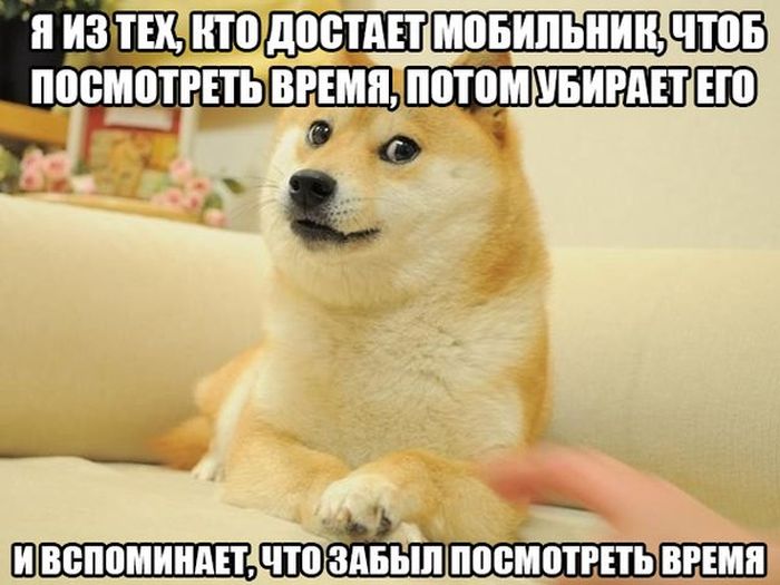 Забавные картинки