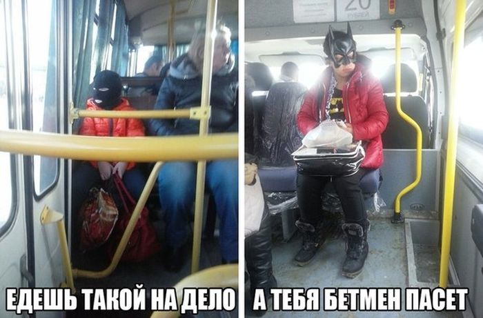 Забавные картинки