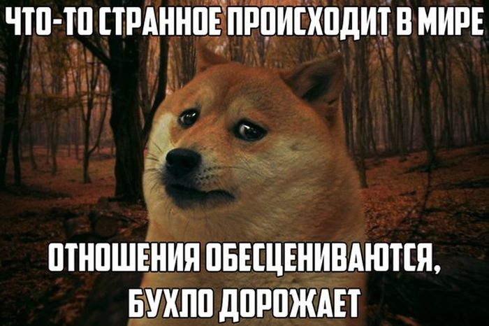 Забавные картинки