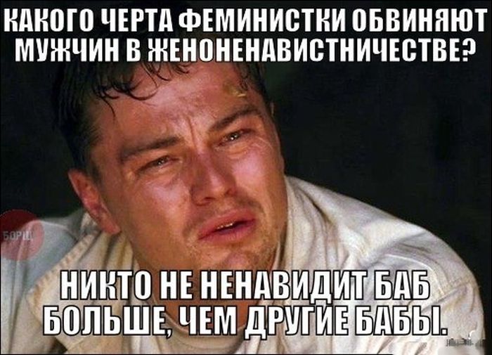Порция картинок