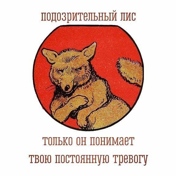 Порция картинок