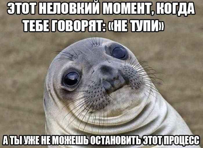 Порция картинок