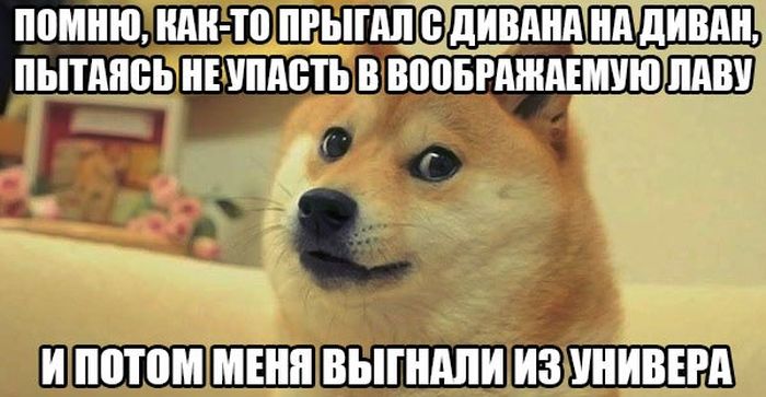 Забавные картинки