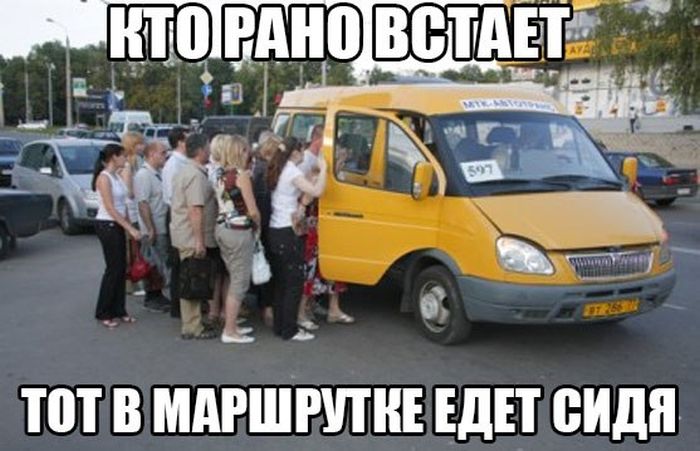 Забавные картинки