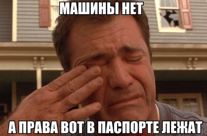 Забавные картинки