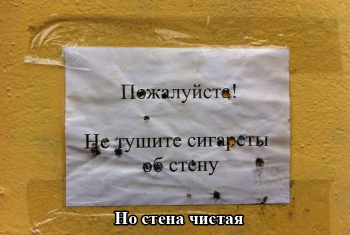 Забавные картинки