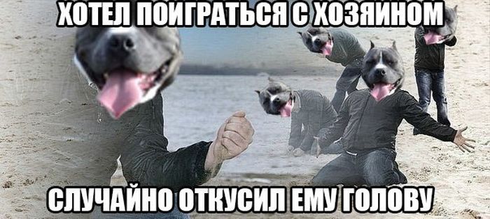 Забавные картинки