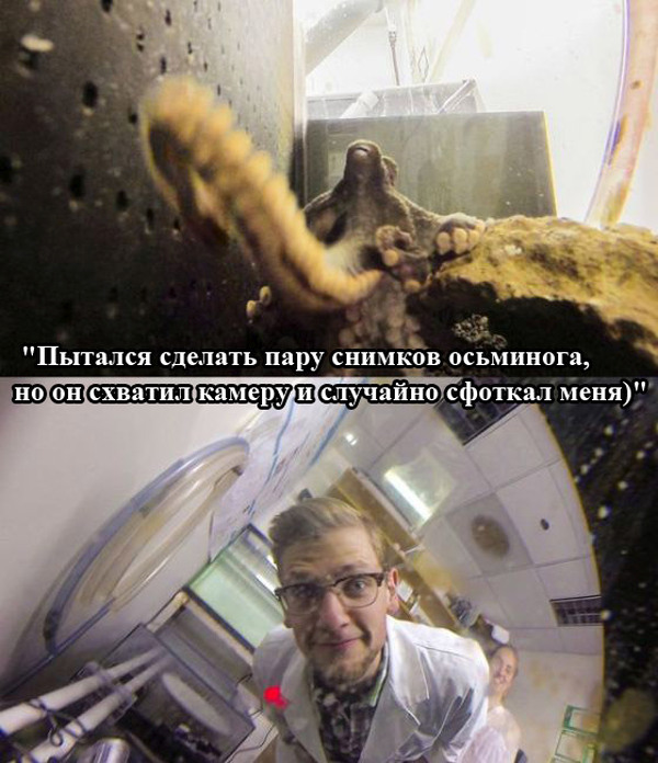 Забавные картинки