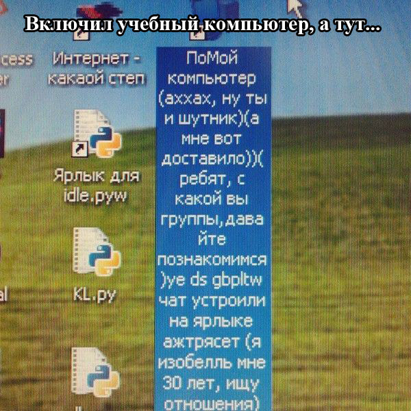Забавные картинки