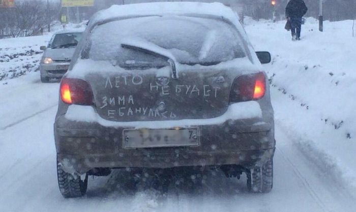 Забавные картинки