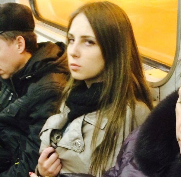 Забавные картинки