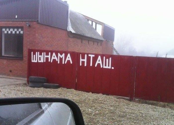 Забавные картинки