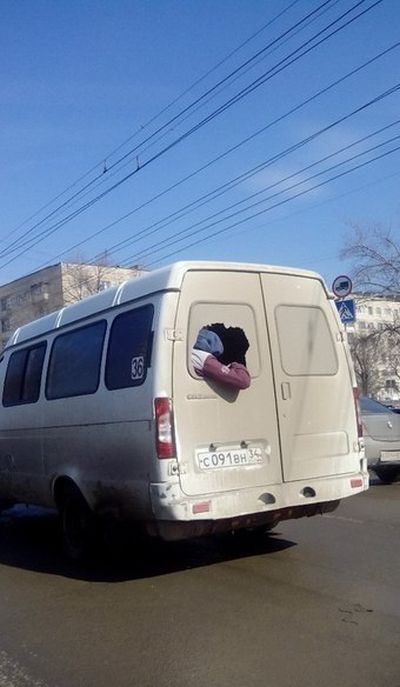 Забавные картинки