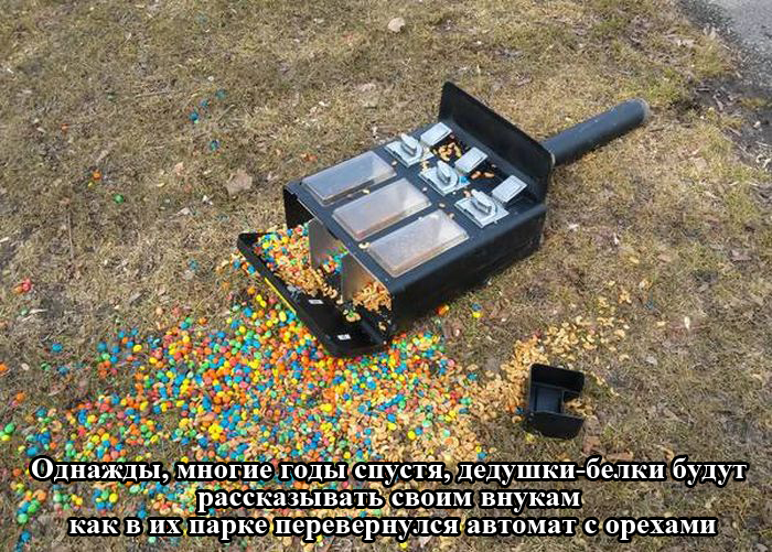 Забавные картинки