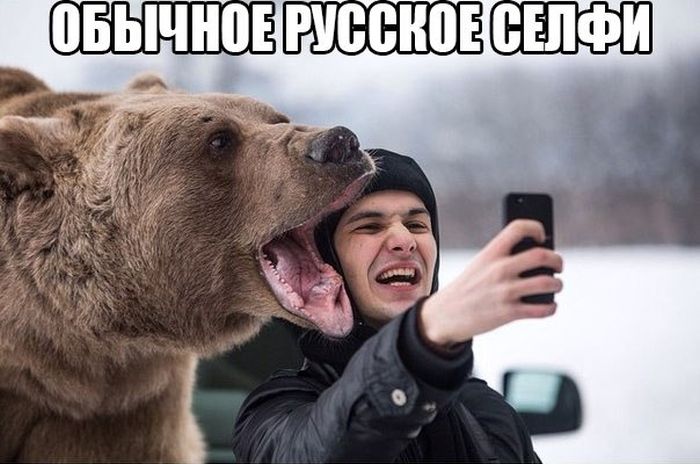 Забавные картинки
