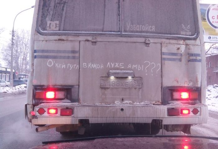 Забавные картинки