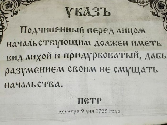 Забавные картинки