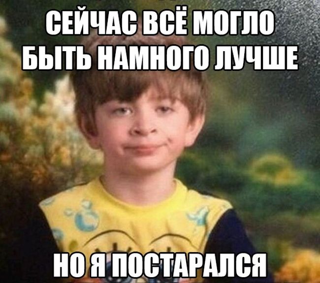 Забавные картинки