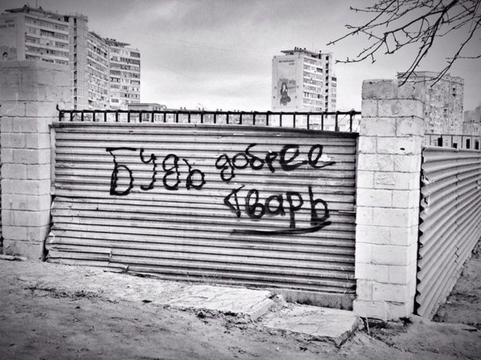 Забавные картинки