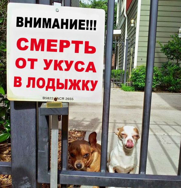 Забавные картинки