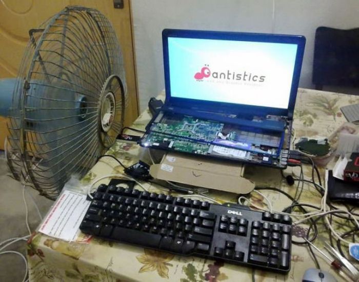 Забавные картинки