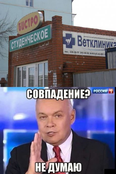 Забавные картинки